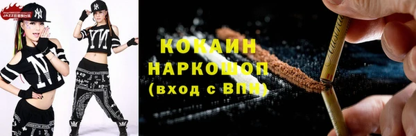 гашик Карталы