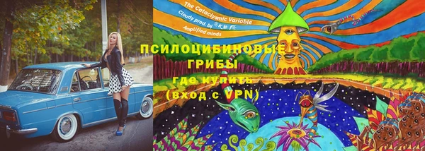 PSILOCYBIN Каменск-Шахтинский