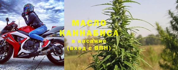 хмурый Каменка