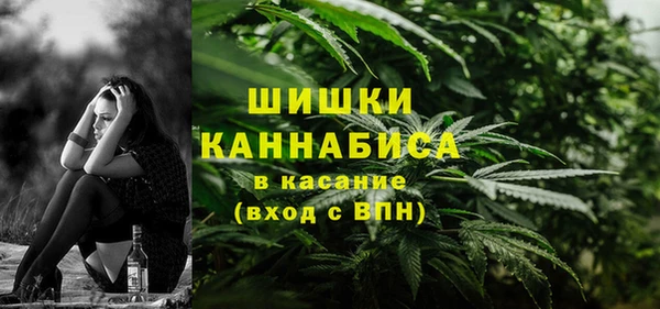 PSILOCYBIN Каменск-Шахтинский
