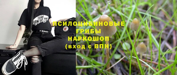 гашик Карталы
