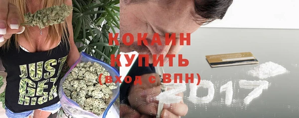 мет Касимов